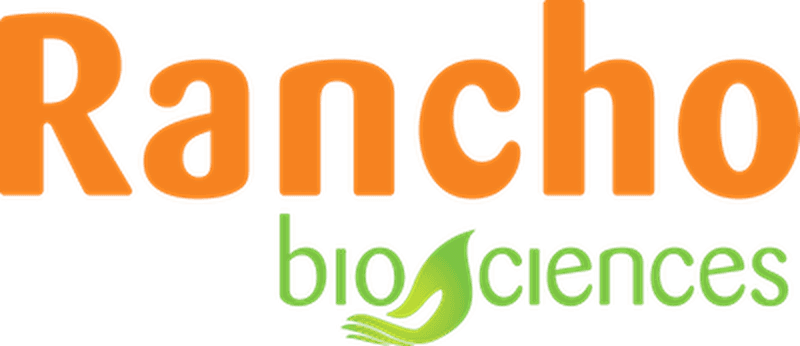 Hungaro Trial uses Beebole for time tracking and resource planning