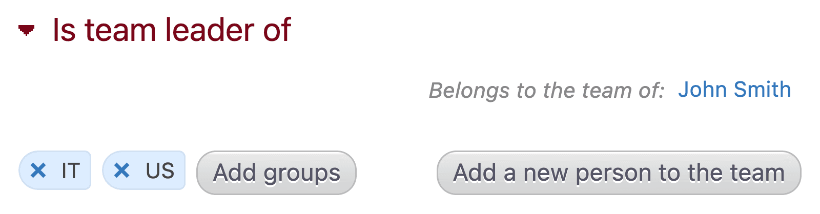 Team leader and member