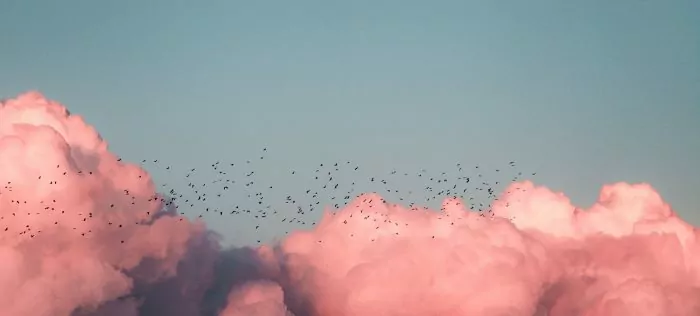 &#8220;It&#8217;s crucial that the tool we use for time tracking is intuitive.&#8221; – a chat with the Founder of Cloud Perspective