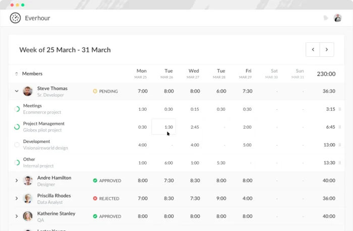 19 project time tracking tools for enhanced project financial management 6 Everhour